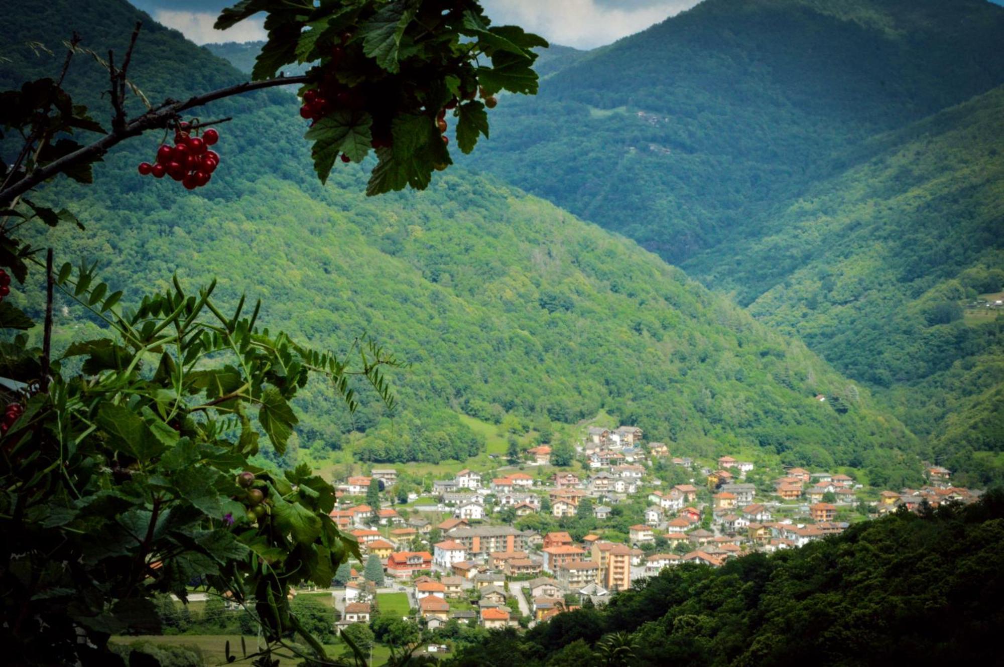 Chalet In Pietra E Legno Con Caminetto Inverso Pinasca Экстерьер фото